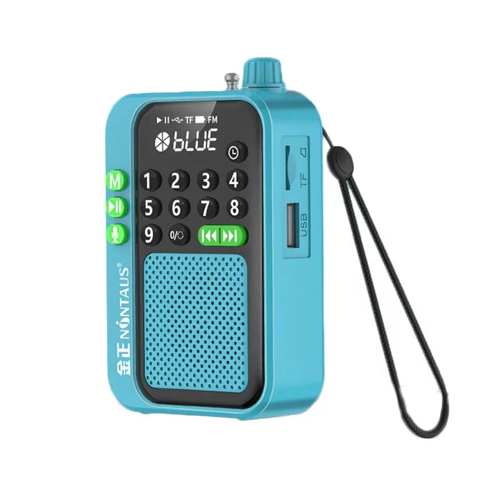 Blue rechargeable portable mini FM radio