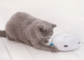 Jouet interactif intelligent pour chat en forme d'ovni