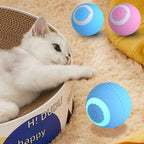 Interactive Smart Cat Ball-2