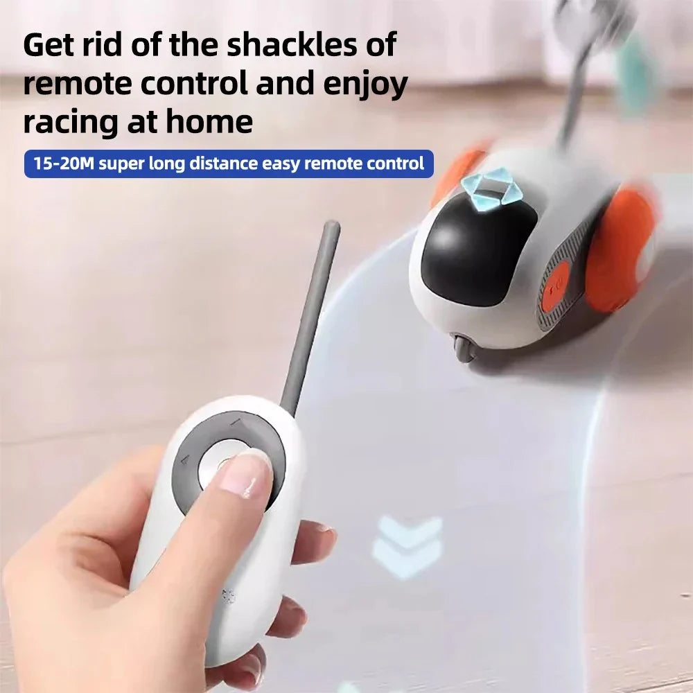 Voiture interactive intelligente pour chats