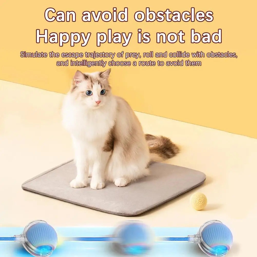 Balle roulante intelligente et interactive pour chats