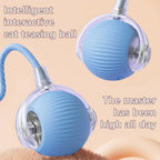 Balle roulante intelligente et interactive pour chats