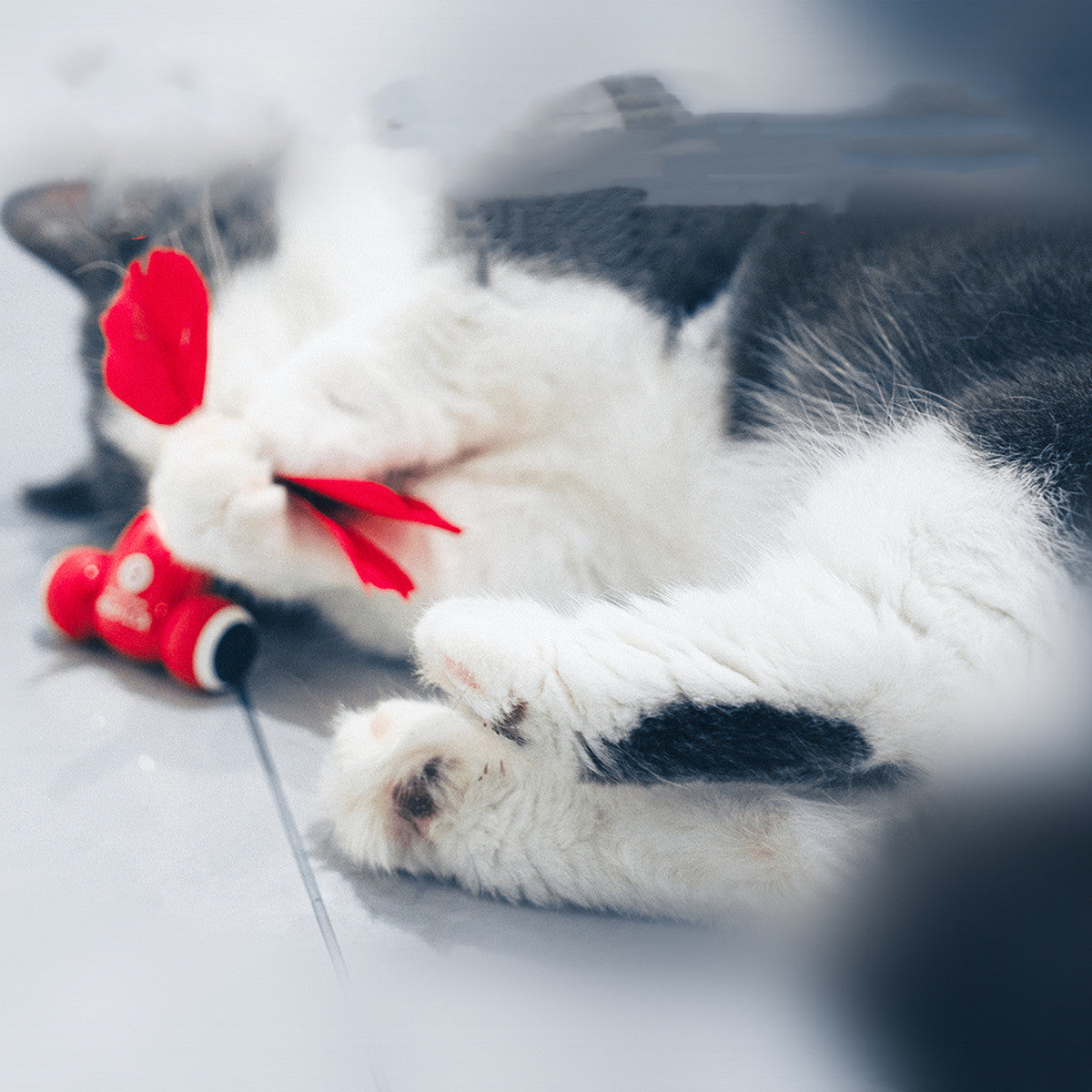 Ensemble de jouets intelligents pour chats