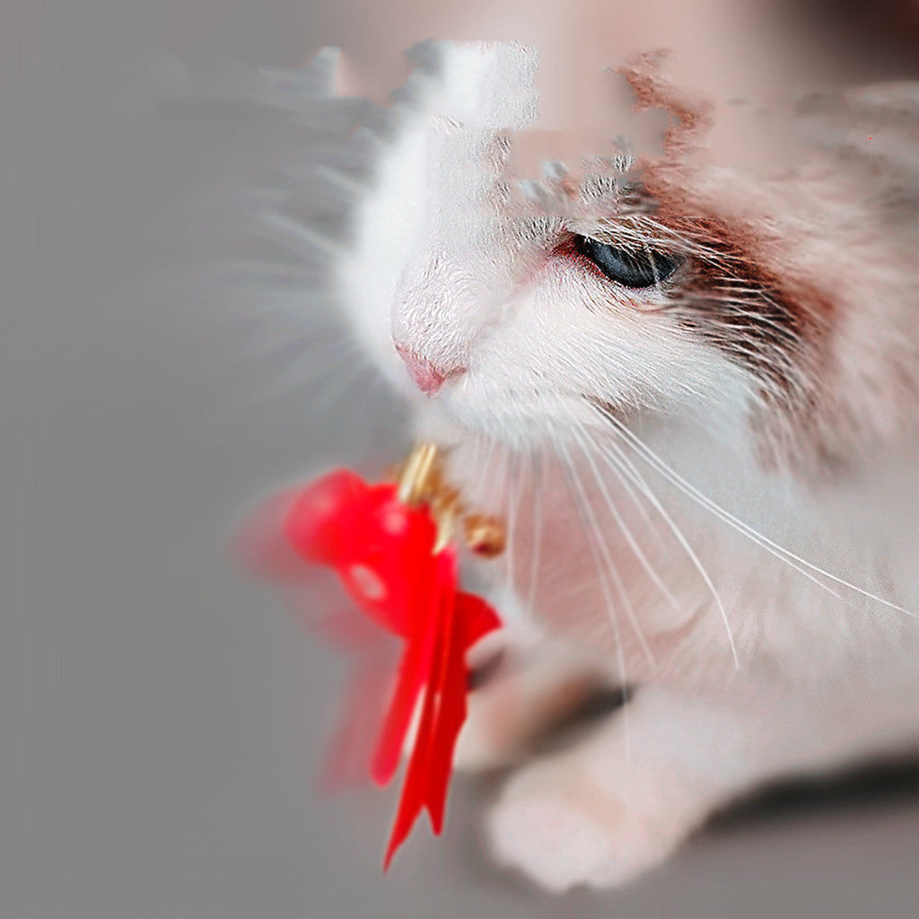 Ensemble de jouets intelligents pour chats