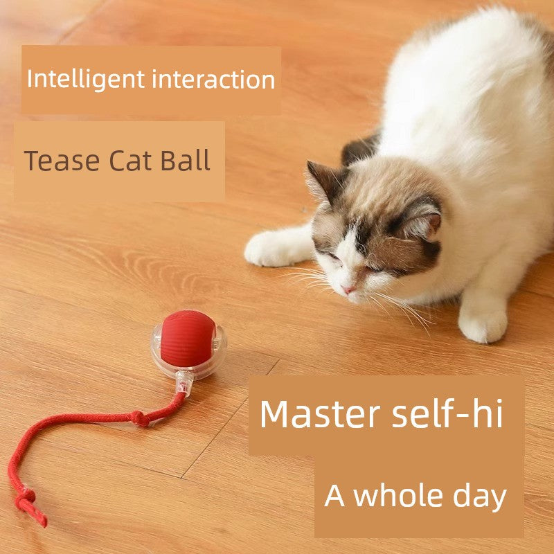 Smart Interactive Cat Teasing Ball-1